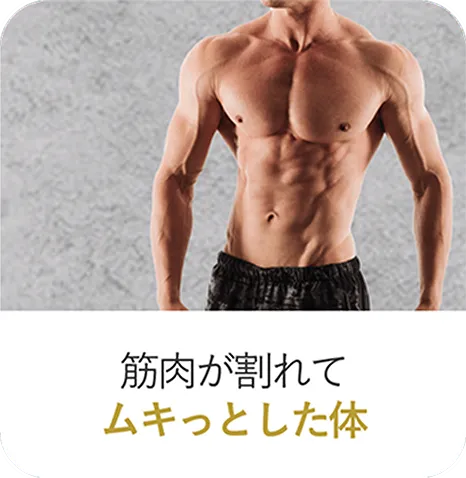 腹筋が割れてムキっとした体