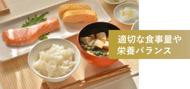 適切な食事量や栄養バランス